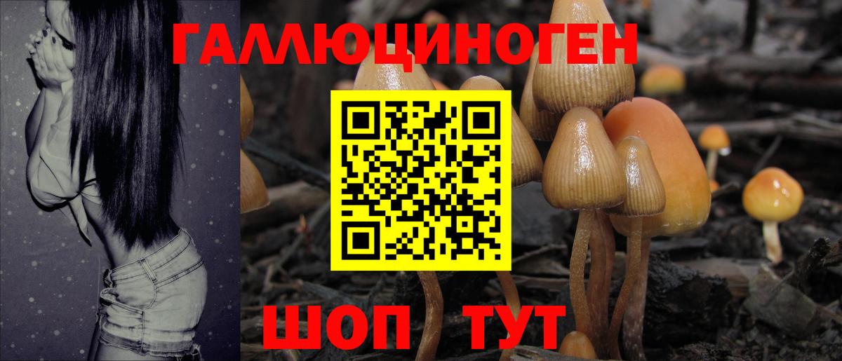 Удомля  Галлюциногенные грибы GOLDEN TEACHER  Вход с VPN 